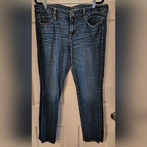 American Eagle Outfitters Sz 14 Stretch Skinny Women's Blue Jeans
